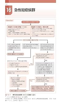 内科レジデント実践マニュアル 第12版 経時的流れに応じた適切な